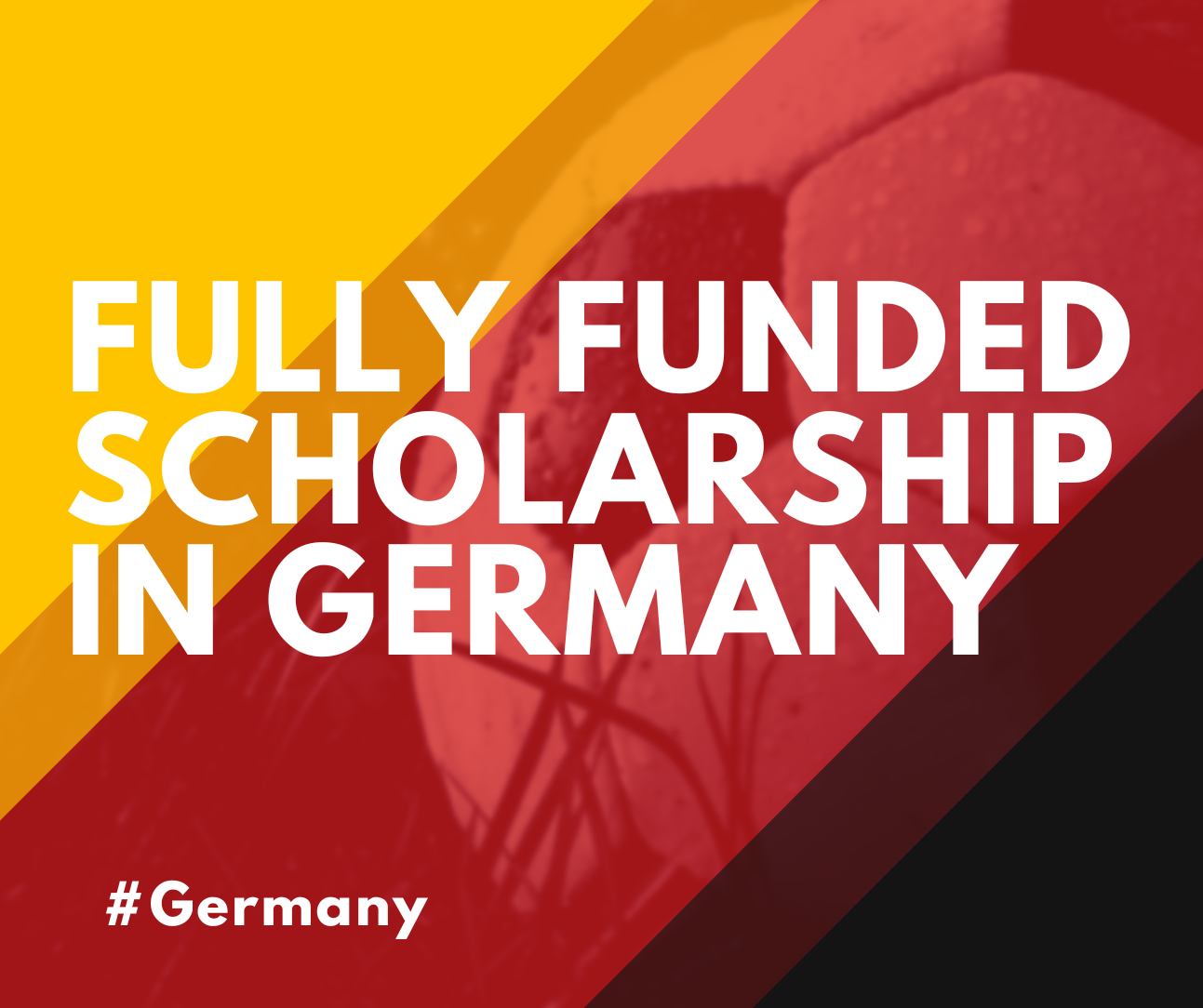 Fully Funded Scholarship In Germany For International Students